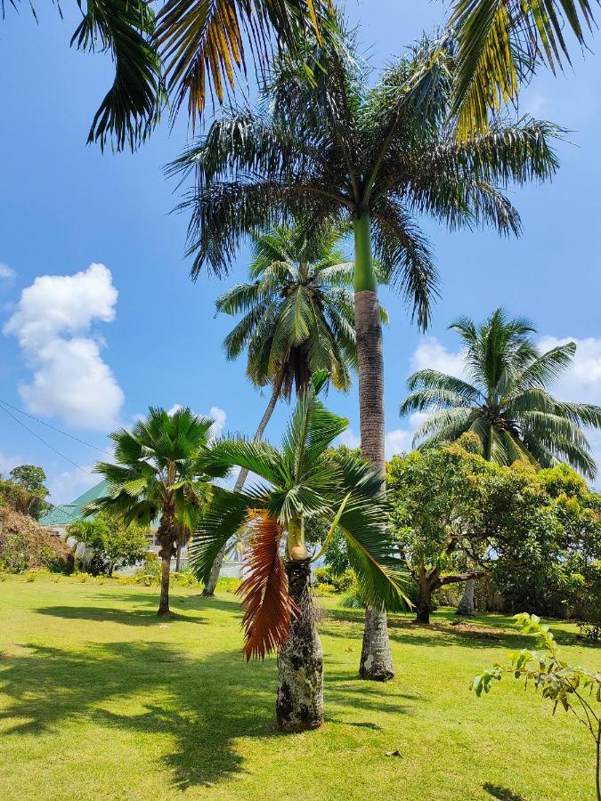Villa Luana Yuna Au Cap