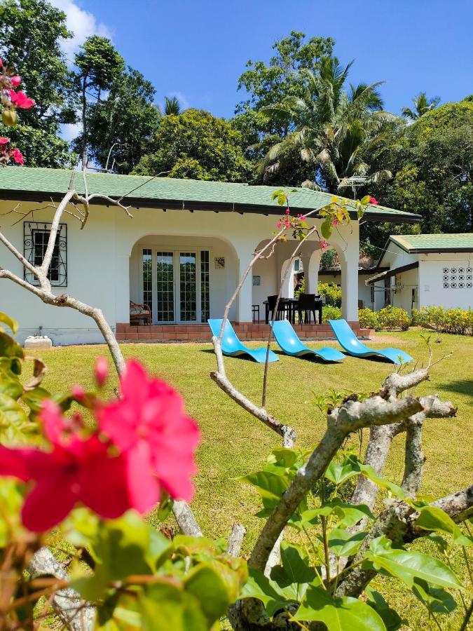 Luana Yuna Villa Au Cap